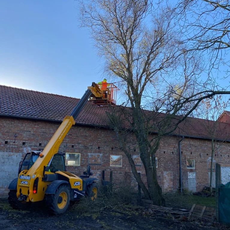 Gartenprofi-Goeris-Gartenpflege-10