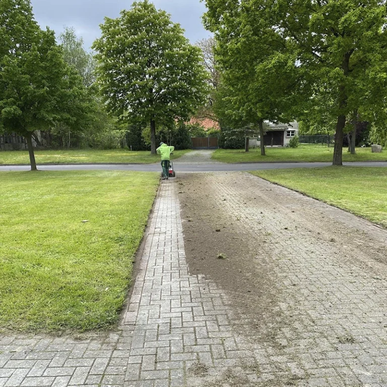 Gartenprofi-Start-Galerie-3