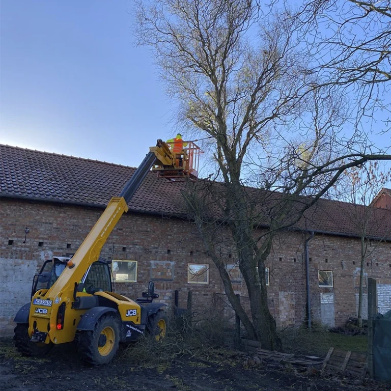 Gartenprofi-Start-Galerie-6