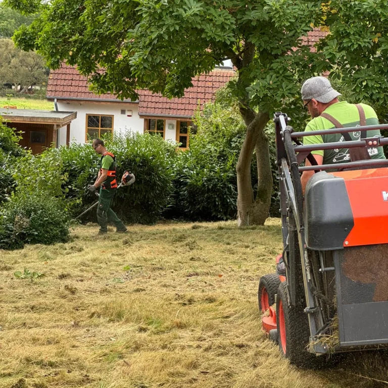 Gartenprofi_Gartenpflege-Projekt-2